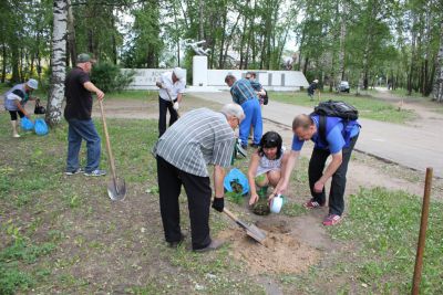 Сыктывкарцы высадили аллею из молодых дубов в память о погибших в годы Великой Отечественной войны