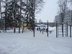 Единороссы Сыктывкара поддержали общереспубликанский субботник по уборке снега