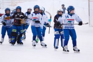В Сыктывкаре прошел региональный детский турнир по хоккею с мячом