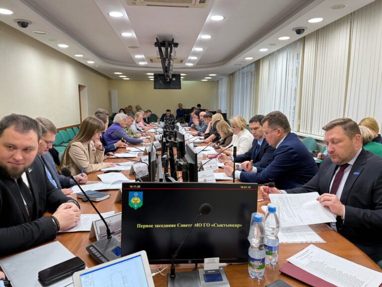 Депутаты Совета Сыктывкара скорректировали бюджет столицы Коми